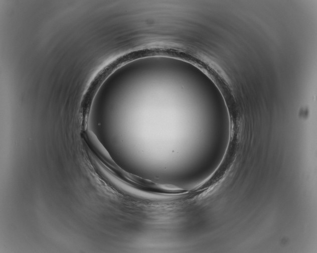 X0000090871021200707271246