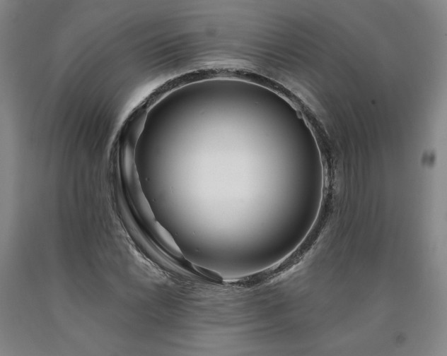 X0000090871022200707271246