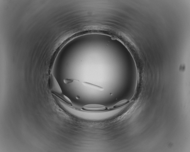 X0000090871025200707271246
