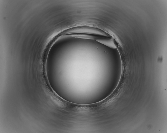 X0000090871027200707271246