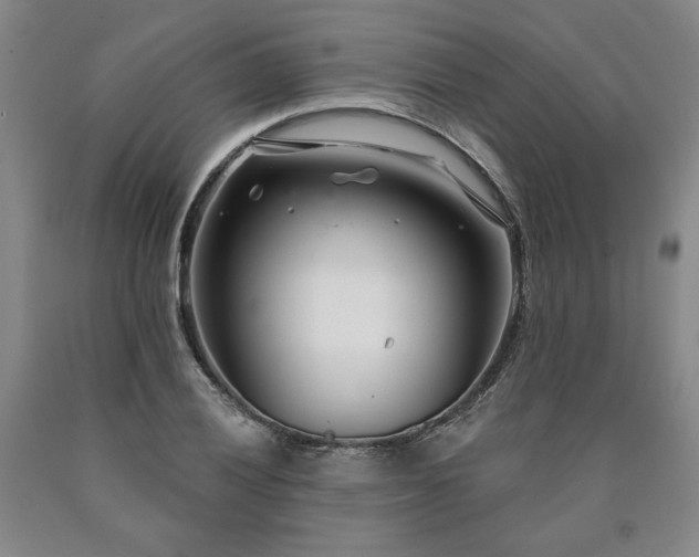 X0000090871028200707271246