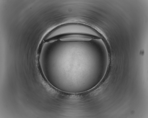 X0000090871029200707271246