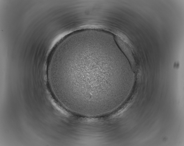 X0000090871030200707271246