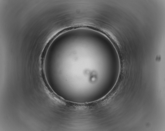 X0000090871031200707271246