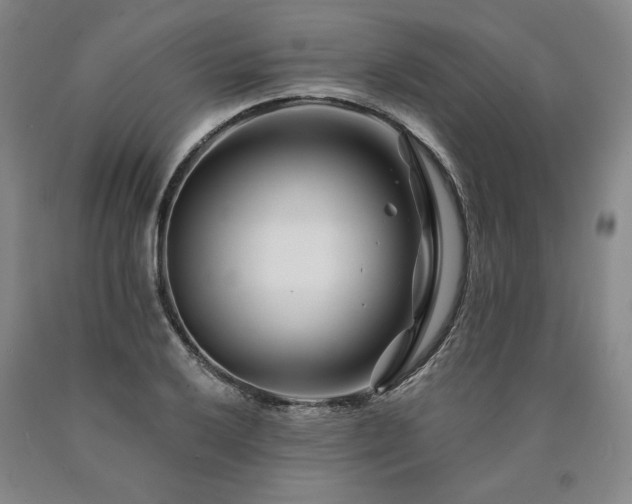 X0000090871032200707271246
