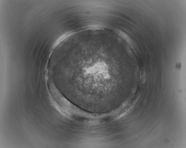 X0000090871034200707271246