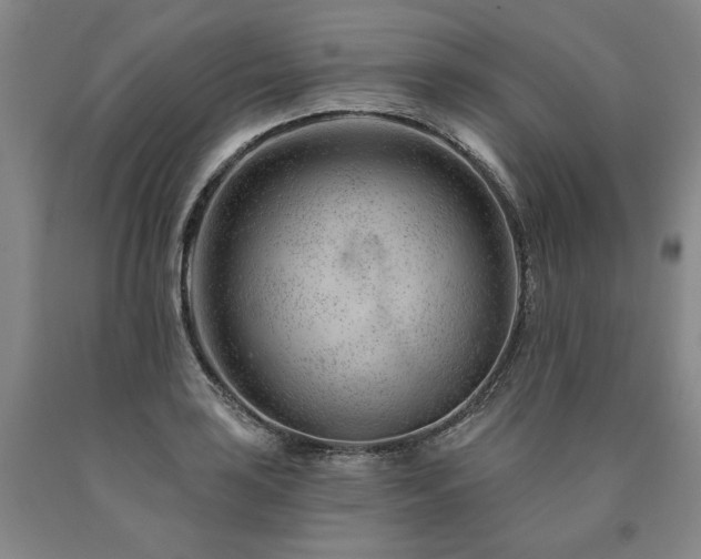 X0000090871035200707271246