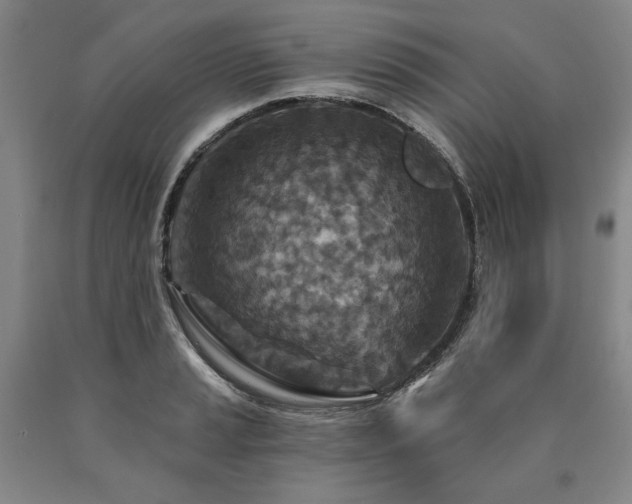 X0000090871037200707271246