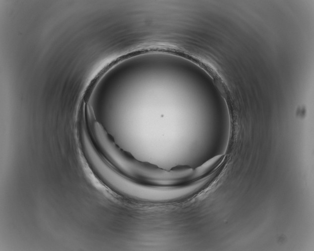 X0000090871038200707271246