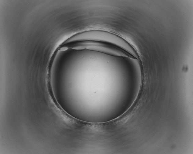 X0000090871040200707271246