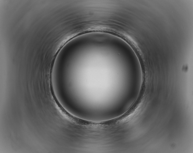 X0000090871041200707271246