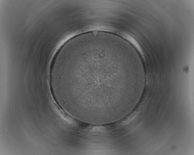 X0000090871043200707271246