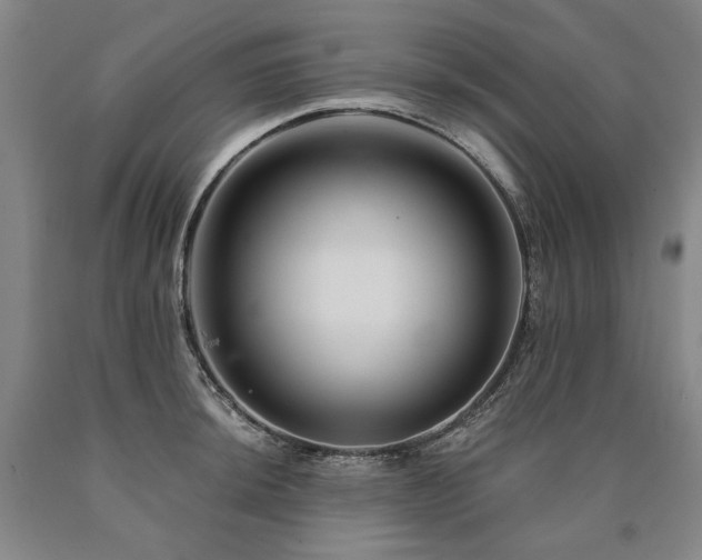 X0000090871044200707271246