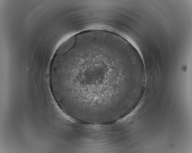 X0000090871045200707271246