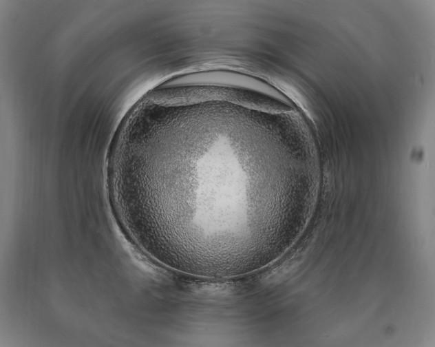 X0000090871047200707271246