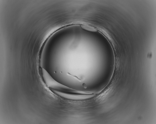 X0000090871048200707271246