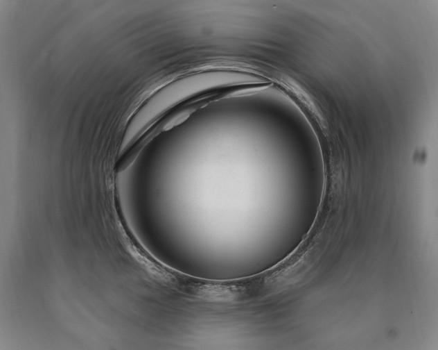 X0000090871049200707271246