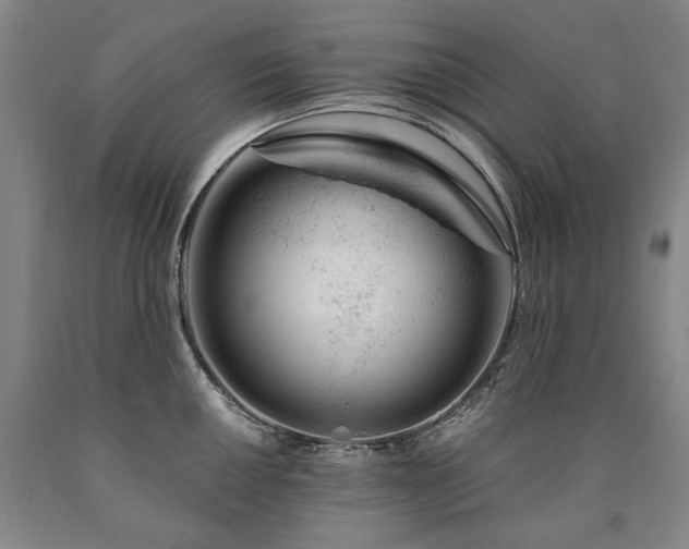 X0000090871050200707271246