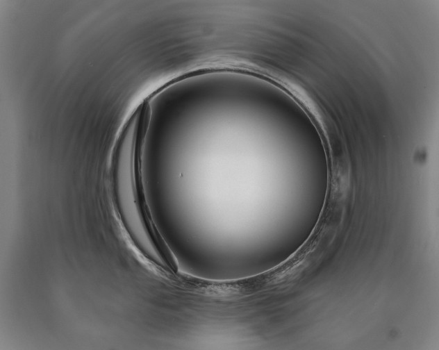 X0000090871053200707271246