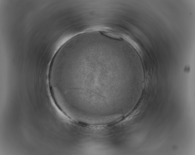 X0000090871055200707271246