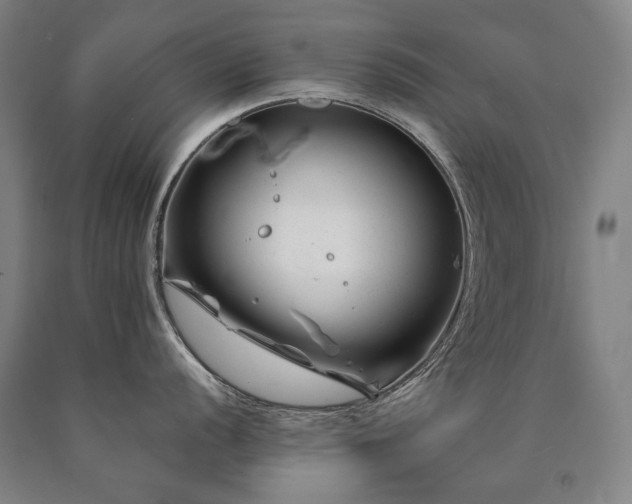 X0000090871056200707271246
