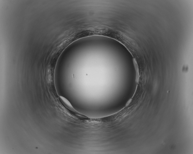 X0000090871058200707271246