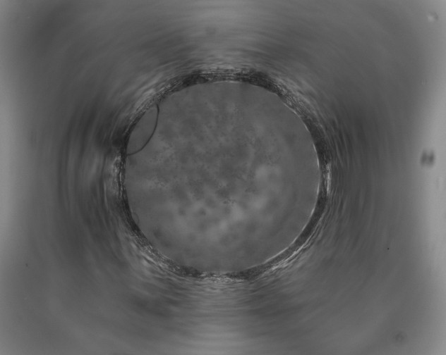 X0000090871059200707271246