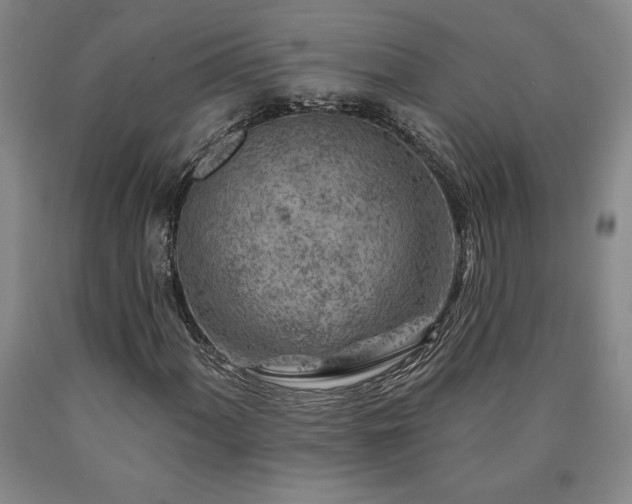 X0000090871060200707271246