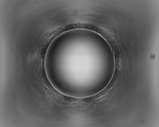 X0000090871061200707271246