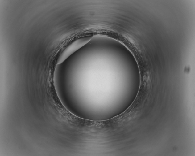 X0000090871062200707271246