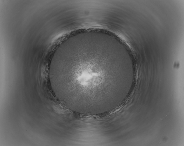 X0000090871063200707271246