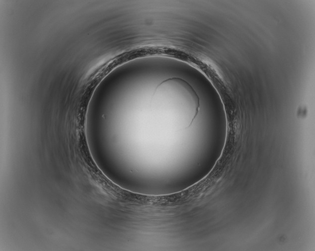 X0000090871064200707271246