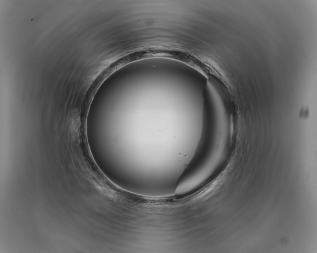 X0000090871065200707271246