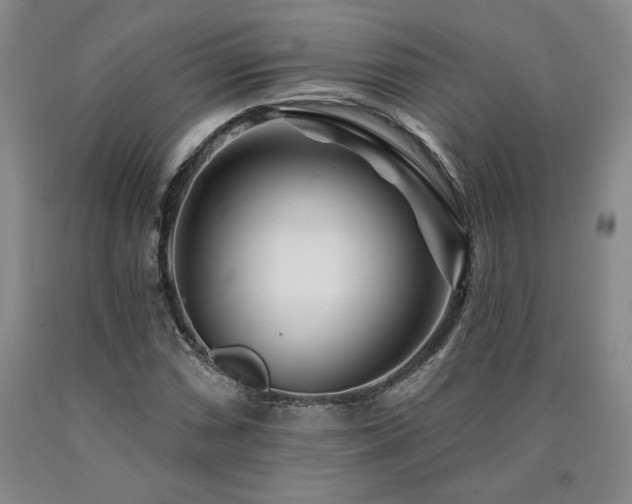 X0000090871066200707271246