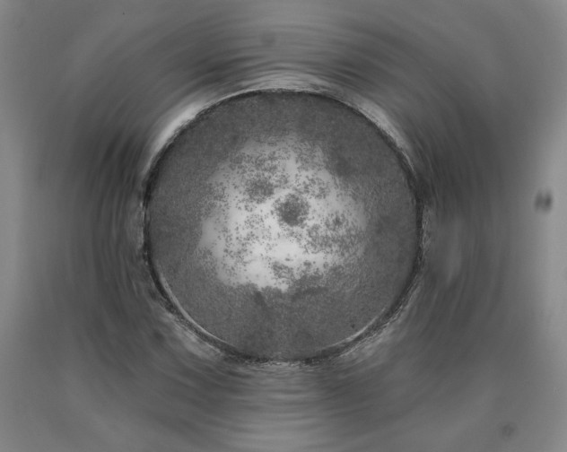 X0000090871067200707271246