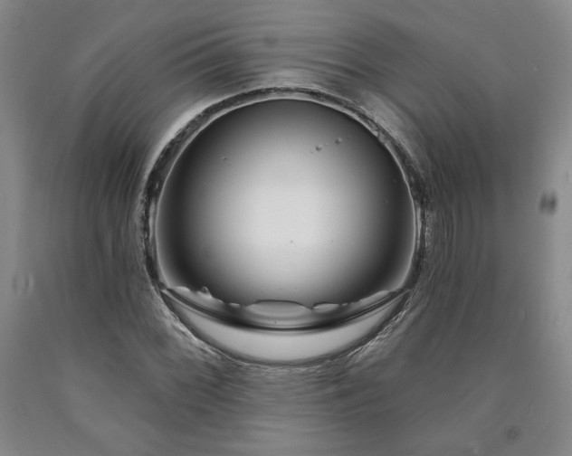 X0000090871068200707271246