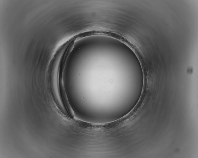 X0000090871070200707271246