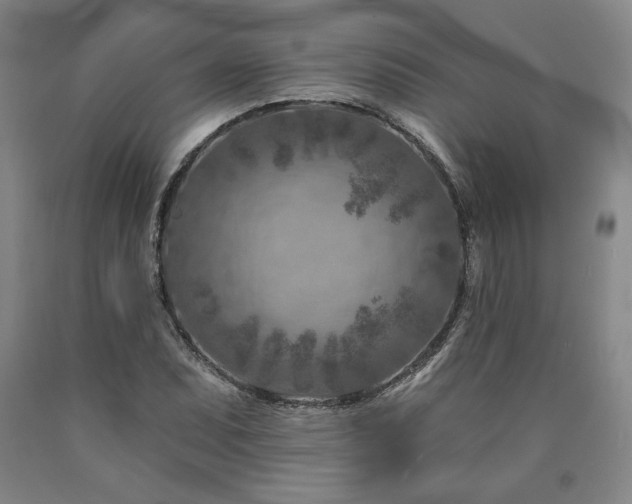 X0000090871071200707271246