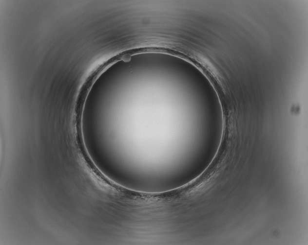 X0000090871072200707271246