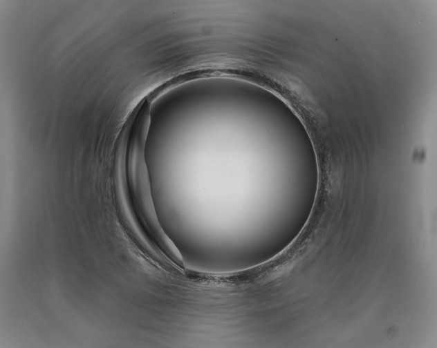 X0000090871073200707271246