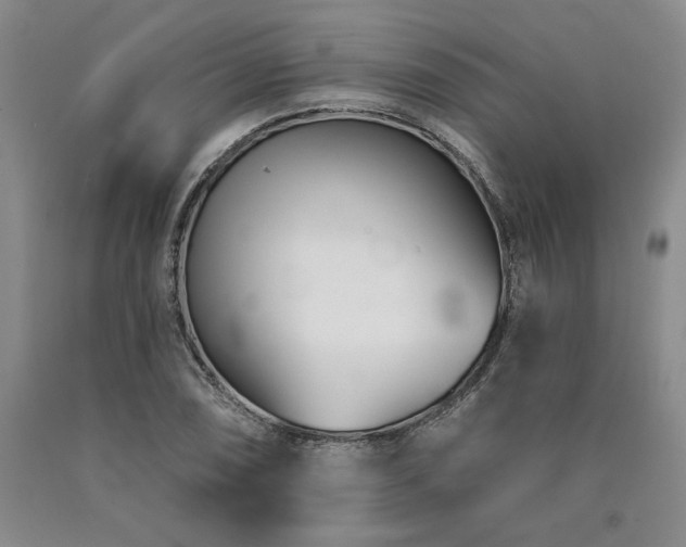X0000090871074200707271245