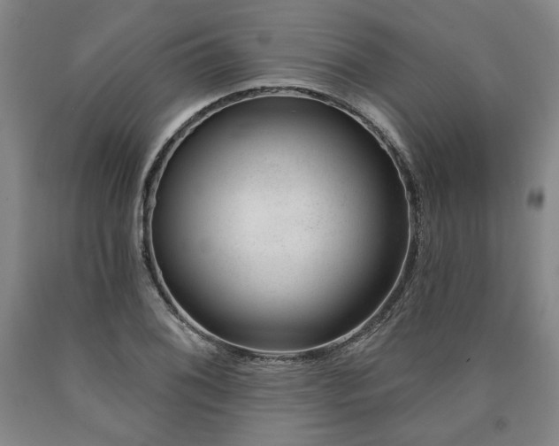 X0000090871076200707271245