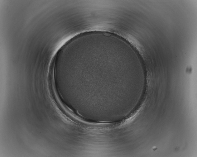 X0000090871077200707271245