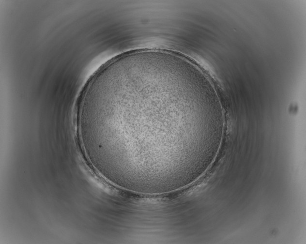 X0000090871078200707271245