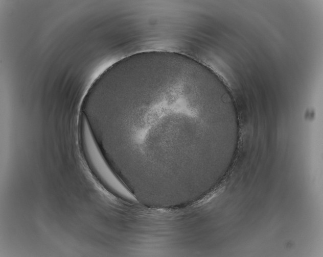 X0000090871079200707271245