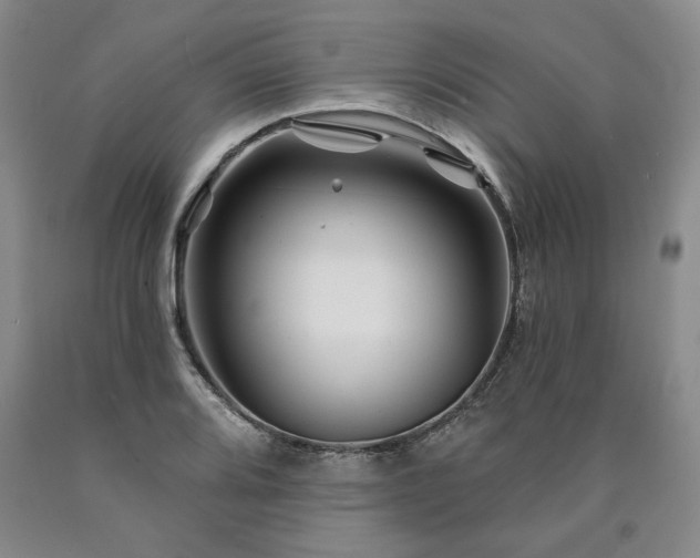 X0000090871080200707271245