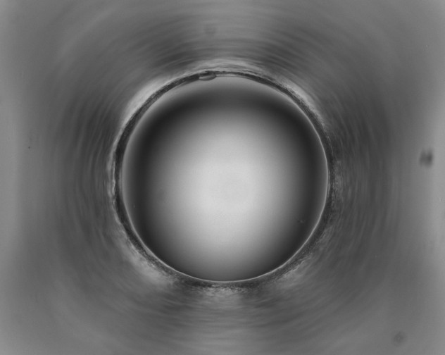X0000090871082200707271245
