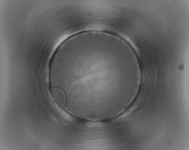 X0000090871083200707271245