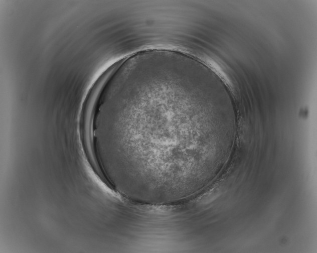 X0000090871084200707271245