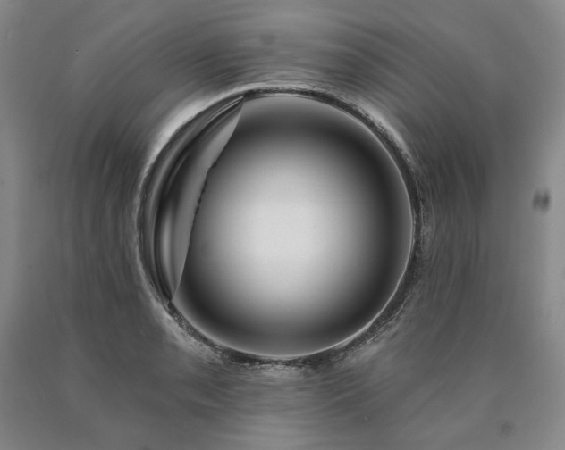 X0000090871085200707271245